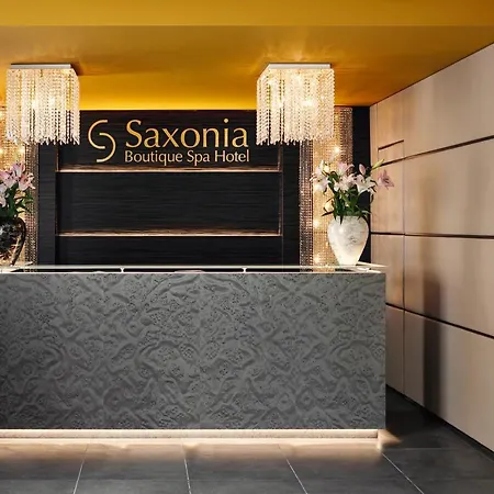 ホテル Boutique Saxonia カルロヴィ・ヴァリ