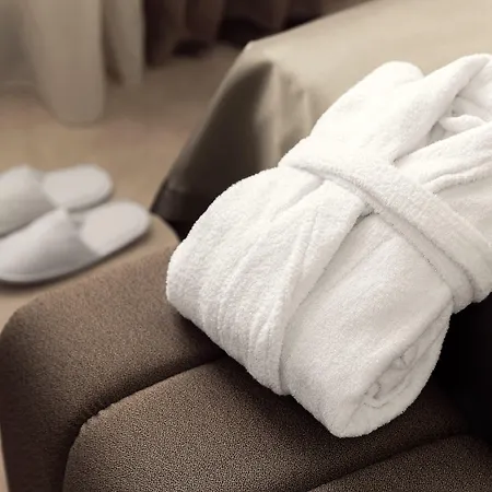 Boutique Saxonia 4*